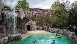 Zoo Antwerp