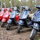 Vespa Waasland