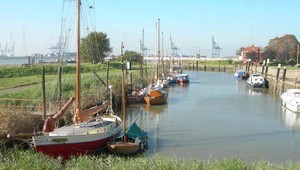 Waasland