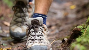 Marcher dans le Waasland