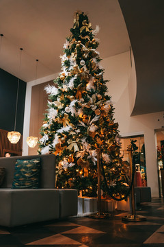 Ontdek onze Kerst & nieuw formules!