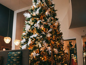 Boek nu voor Kerst & Nieuw!